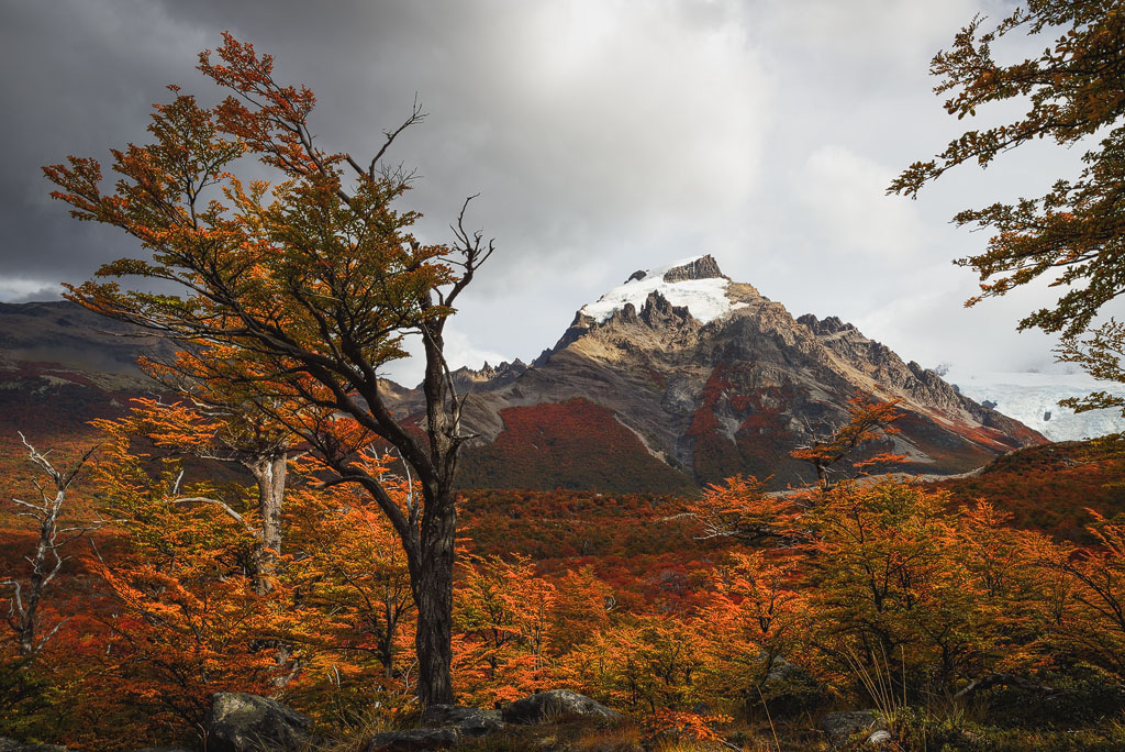 Glacier au sommet d'une montagne surplombant une forêt aux couleurs d'automne
