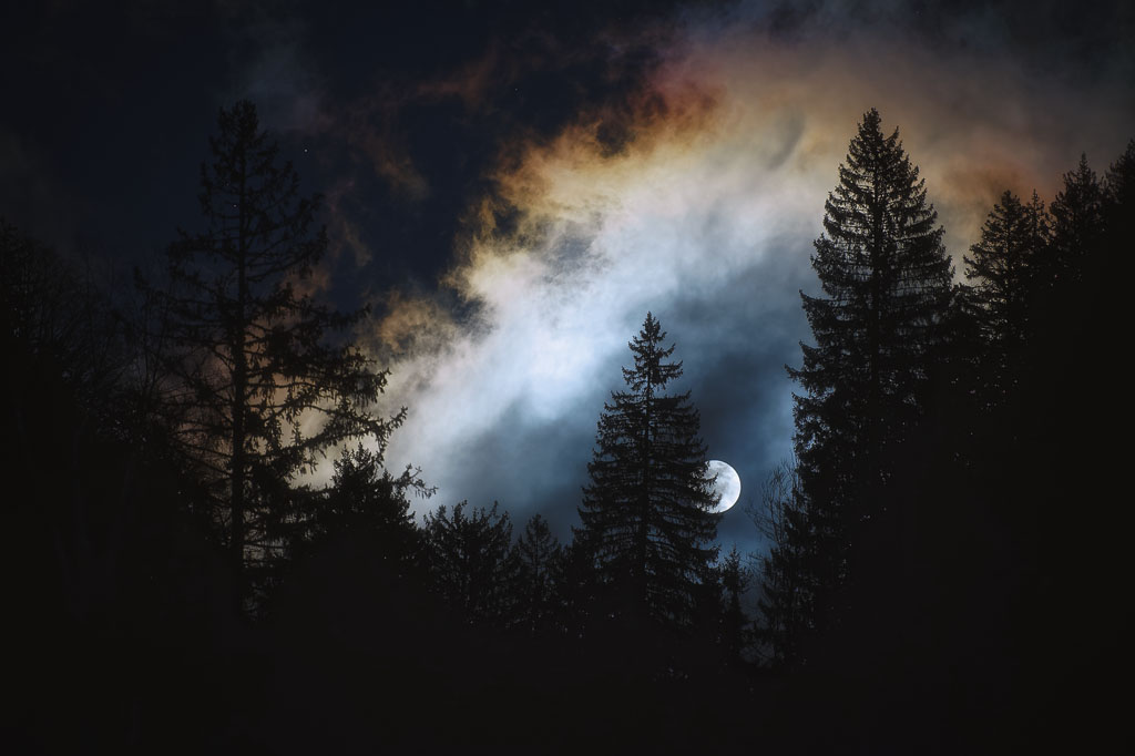 Pleine lune se levant derrière les arbres