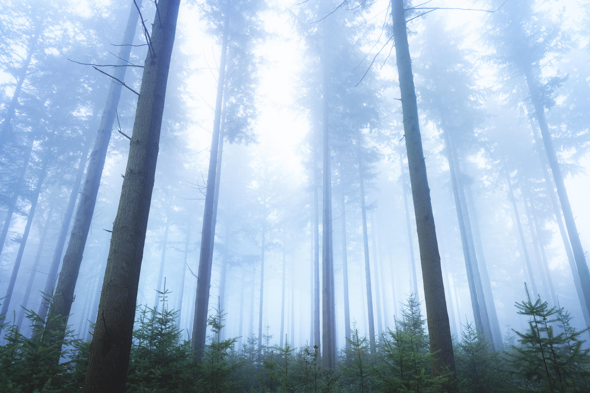Inner Silence