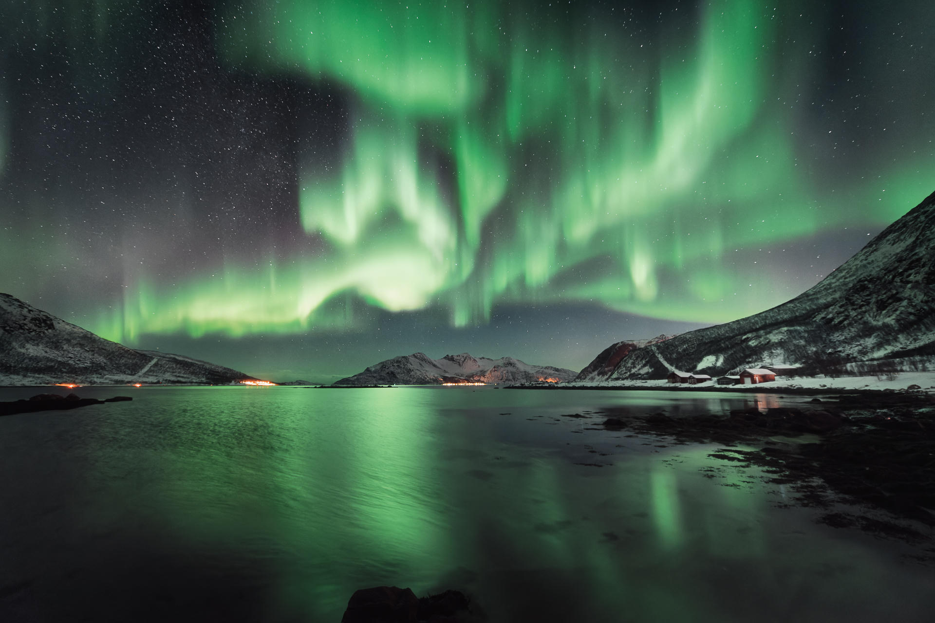 Nocturnal Light