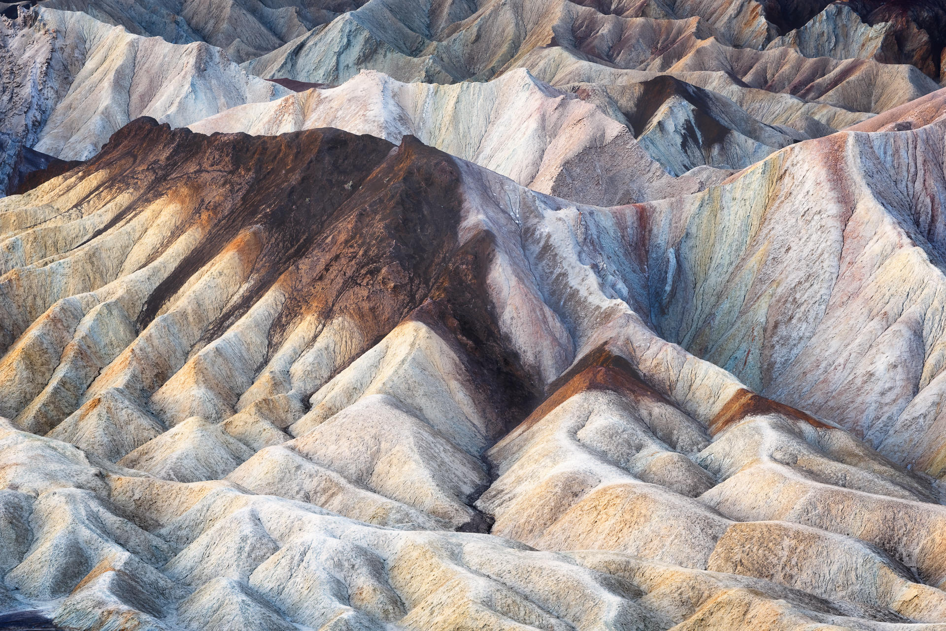Spectral Shapes