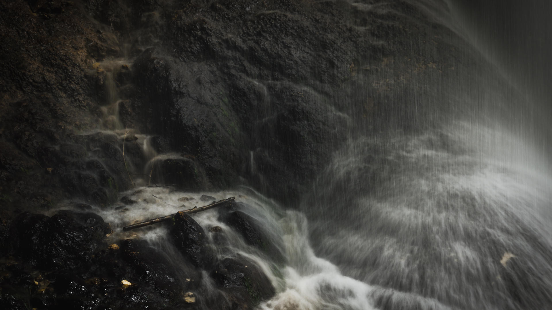 The Flood